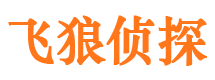 那曲市婚外情调查